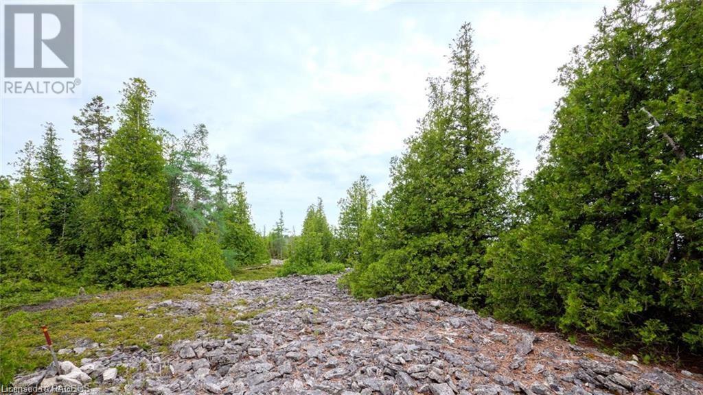 132 Bradley Drive, Northern Bruce Peninsula, Ontario  N0H 1Z0 - Photo 24 - 40562342