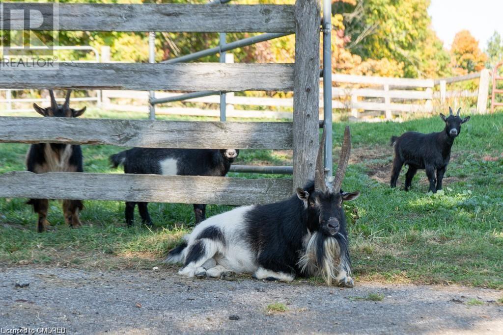 9630 Wellington 42 Road, Erin, Ontario  L7G 4S8 - Photo 12 - 40562723