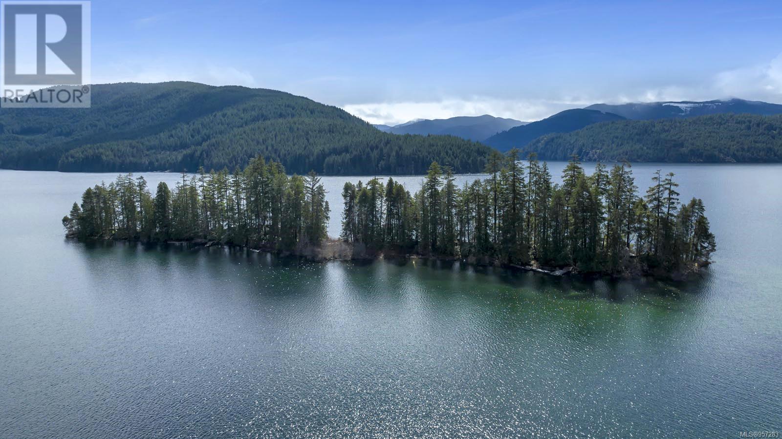 #4 Island, Lake Cowichan, British Columbia  V0R 2G0 - Photo 2 - 957283