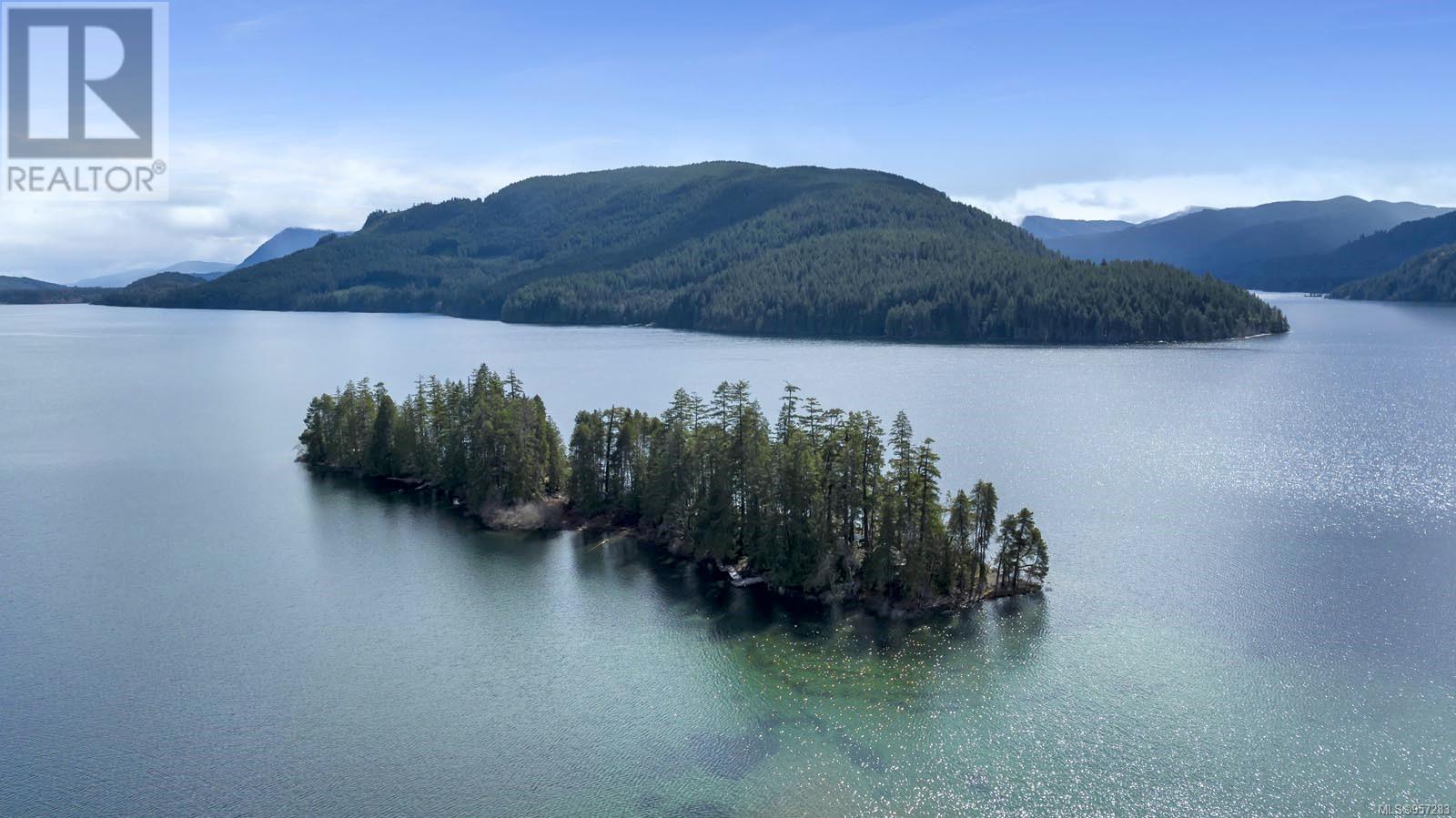#4 Island, Lake Cowichan, British Columbia  V0R 2G0 - Photo 3 - 957283