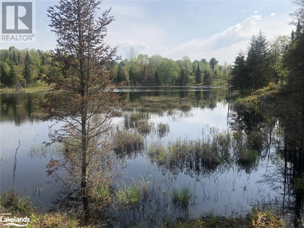 1618 Milburn Road, Lochlin, Ontario  K0M 2G0 - Photo 5 - 40561588