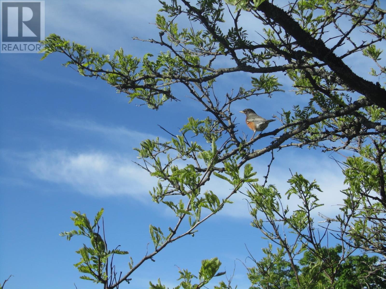 Th6 1 Prince Street, Dartmouth, Nova Scotia  B2Y 4L3 - Photo 28 - 202405650