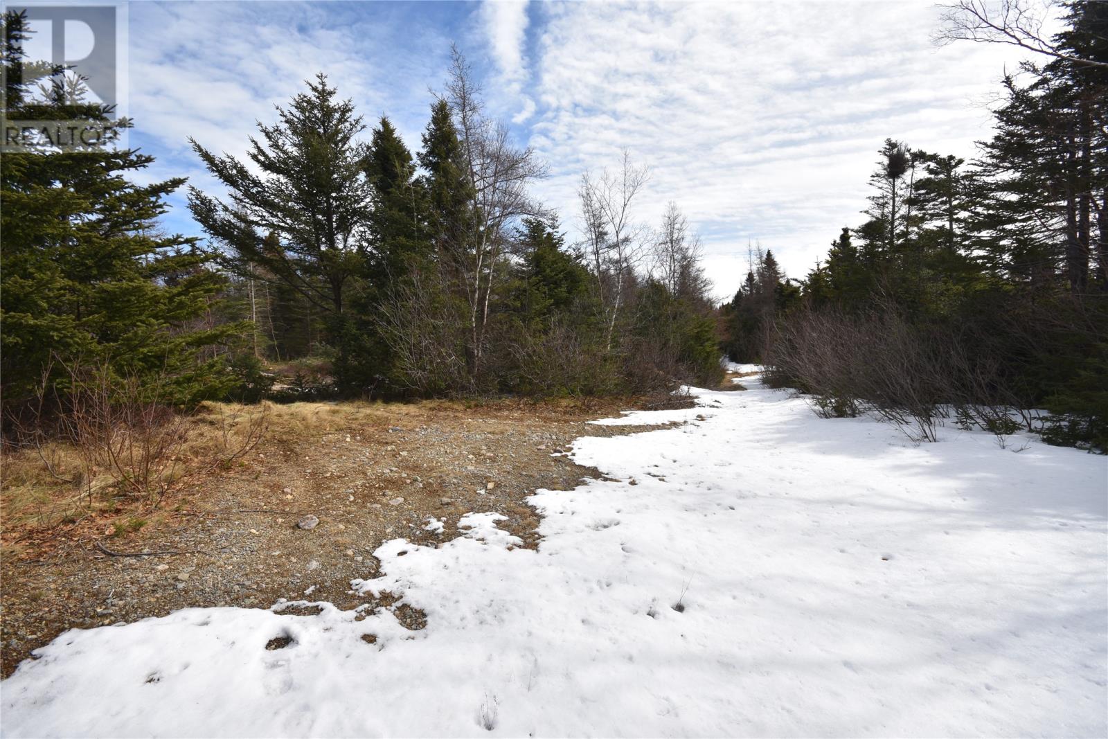 19-21 Calvin Manor Road, Conception Bay South, A1X6M6, ,Vacant land,For sale,Calvin Manor,1269147