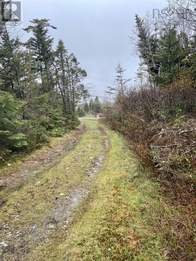 4360 Highway 7, Marie Joseph, Nova Scotia  B0J 2G0 - Photo 16 - 202405672