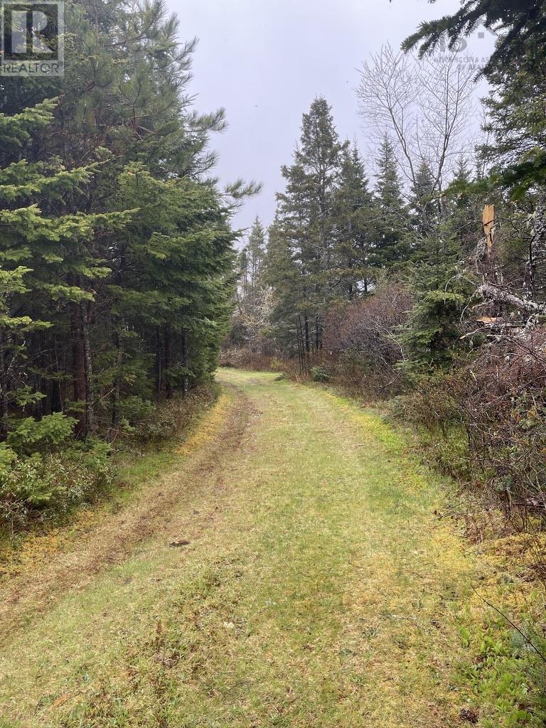 4360 Highway 7, Marie Joseph, Nova Scotia  B0J 2G0 - Photo 2 - 202405672