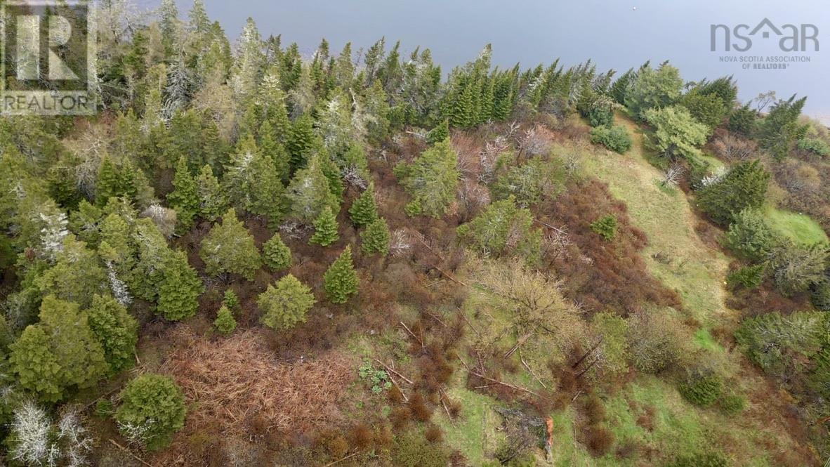 4360 Highway 7, Marie Joseph, Nova Scotia  B0J 2G0 - Photo 20 - 202405672