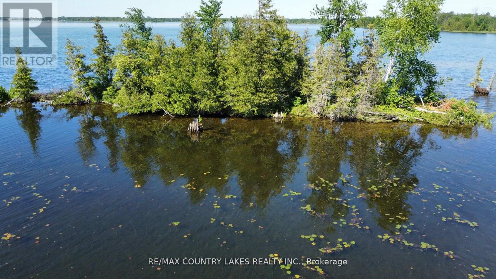Lt 1 Island, Kawartha Lakes, Ontario  K0M 2B0 - Photo 12 - X8179198