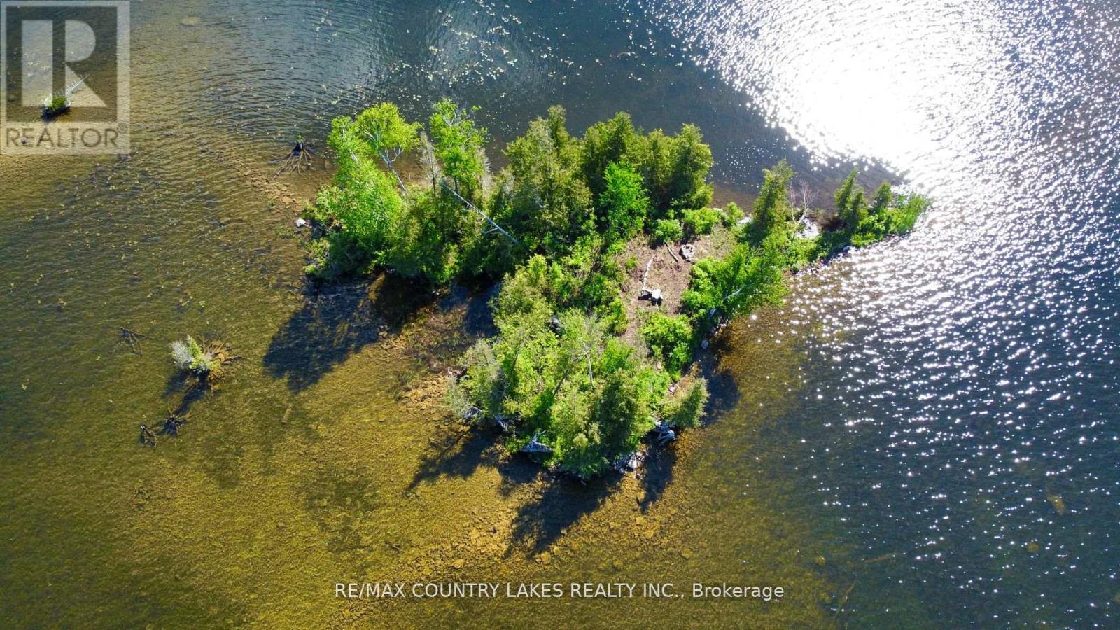 Lt 1 Island, Kawartha Lakes, Ontario  K0M 2B0 - Photo 2 - X8179198