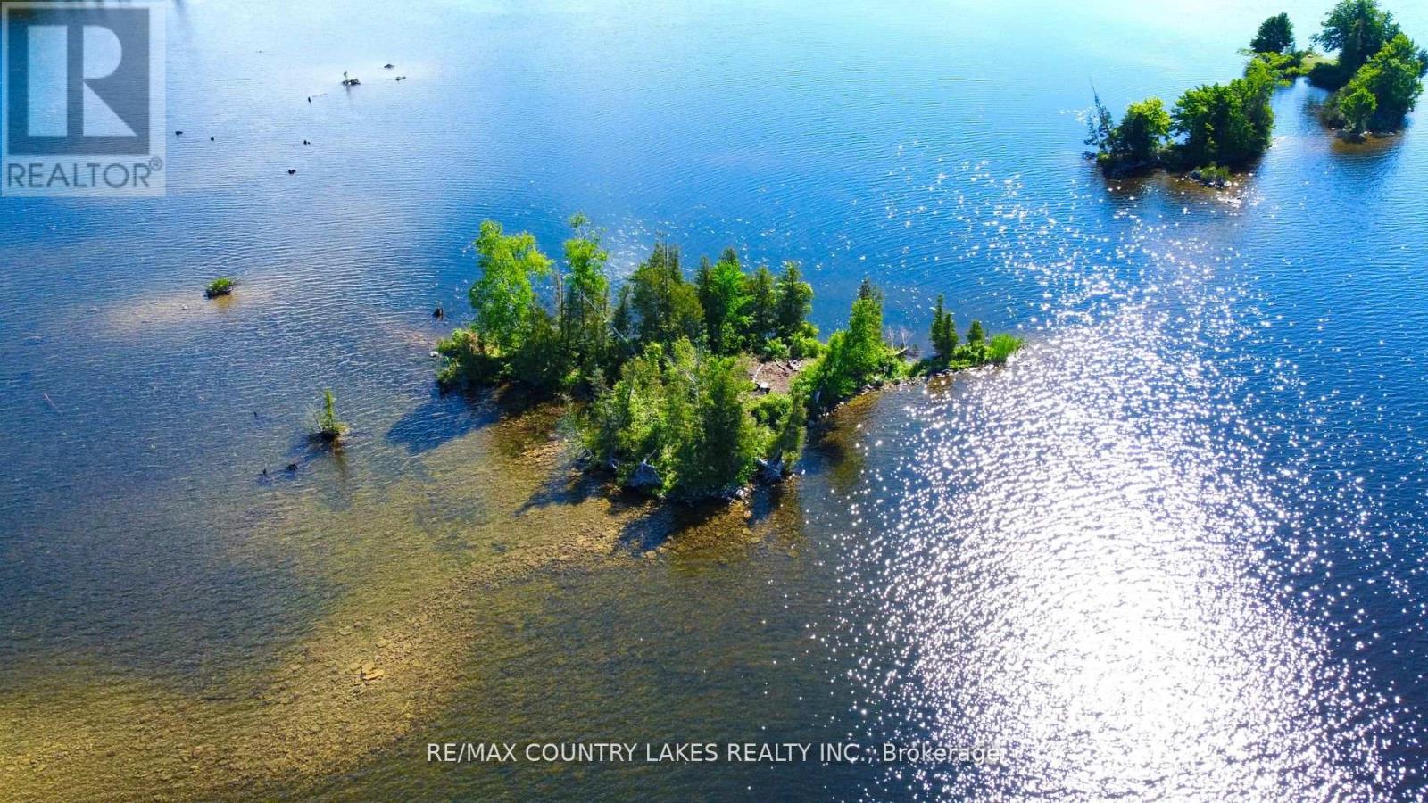 Lt 1 Island, Kawartha Lakes, Ontario  K0M 2B0 - Photo 4 - X8179198