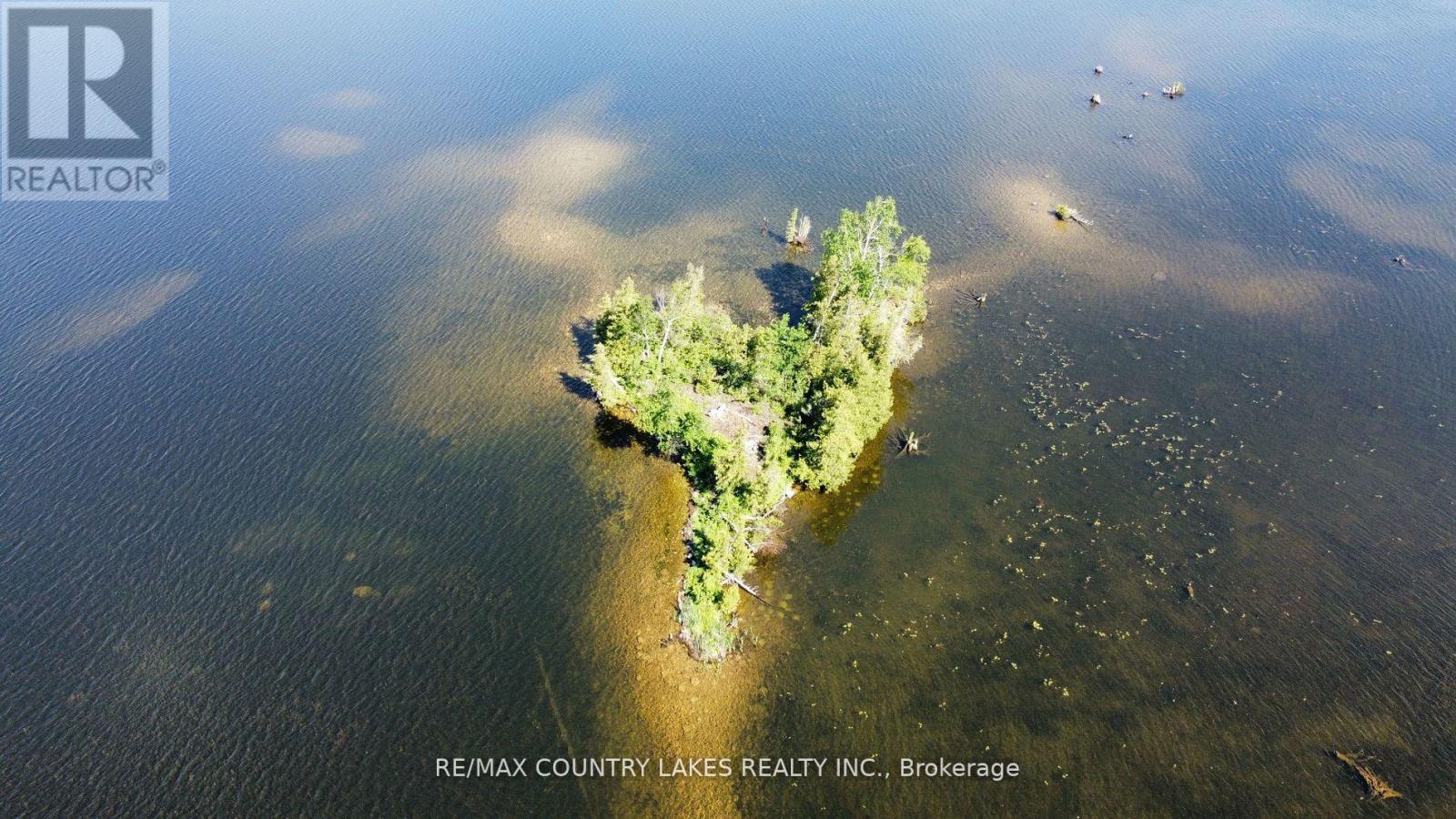 Lt 1 Island, Kawartha Lakes, Ontario  K0M 2B0 - Photo 5 - X8179198