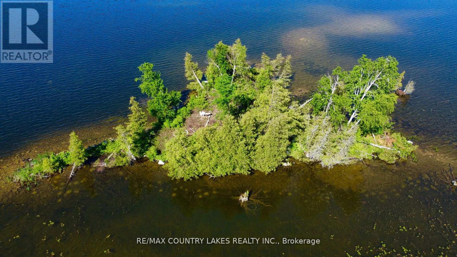 Lt 1 Island, Kawartha Lakes, Ontario  K0M 2B0 - Photo 6 - X8179198
