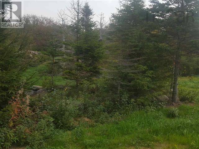 Back Bay Road, Terence Bay, Nova Scotia  N3T 1Y1 - Photo 5 - 202405719