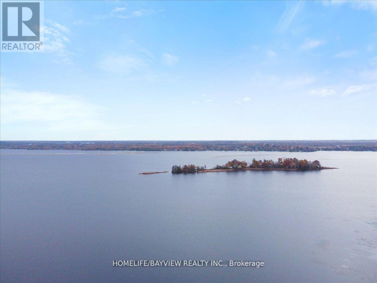 206 Lakeshore Dr E, Kawartha Lakes, Ontario  K0M 1A0 - Photo 11 - X8180176