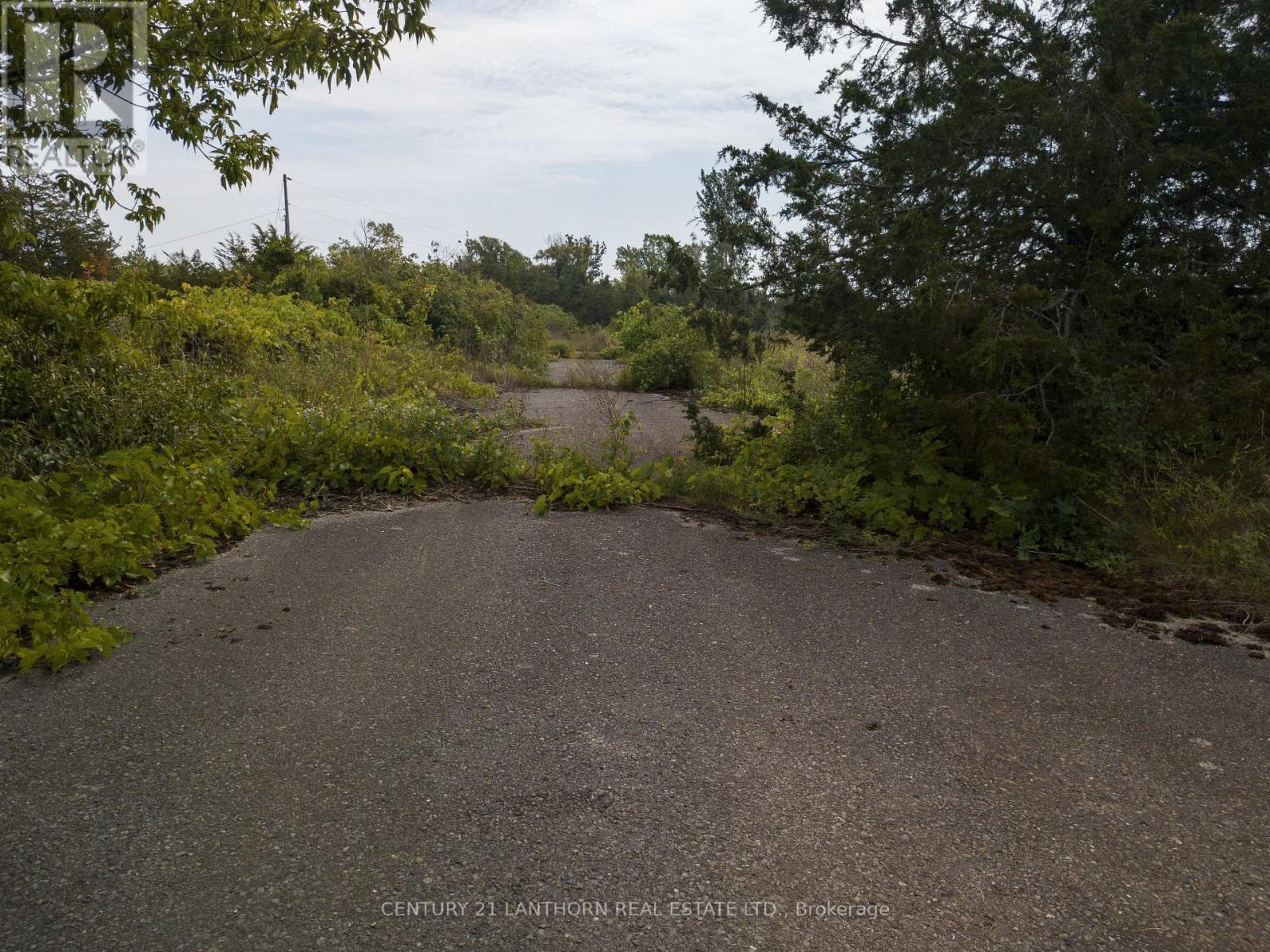 3843 County Road 8 Road, Prince Edward County, Ontario K0K 2T0 - Photo 19 - X8181852