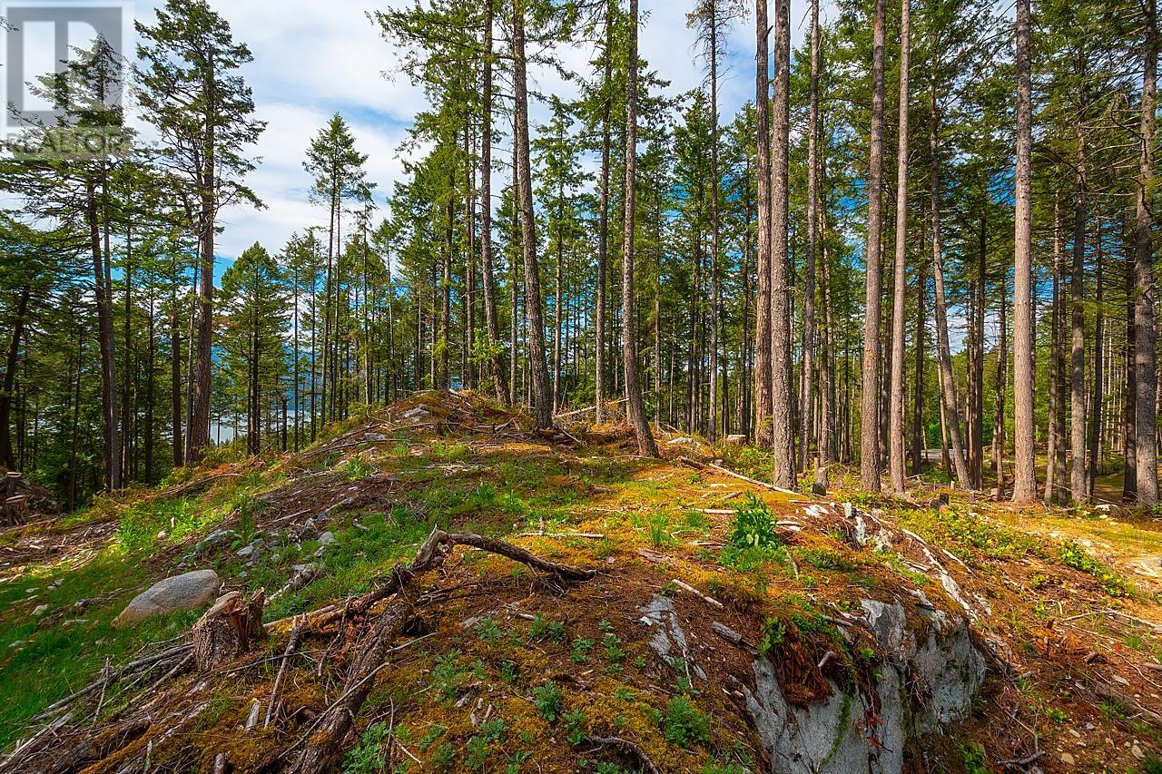 Lot 5 Hayes Road, Bowen Island, British Columbia  V0N 1G2 - Photo 4 - R2864141