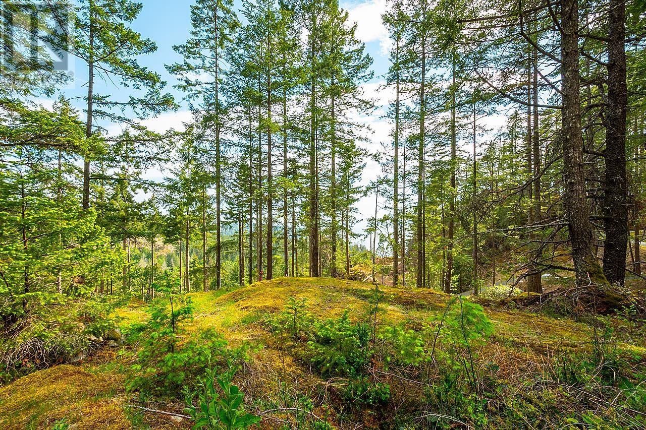 Lot 6 Hayes Road, Bowen Island, British Columbia  V0N 1G2 - Photo 2 - R2864146