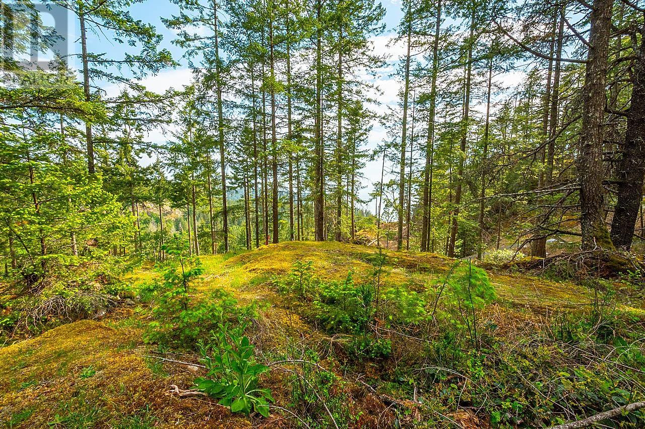 Lot 6 Hayes Road, Bowen Island, British Columbia  V0N 1G2 - Photo 3 - R2864146