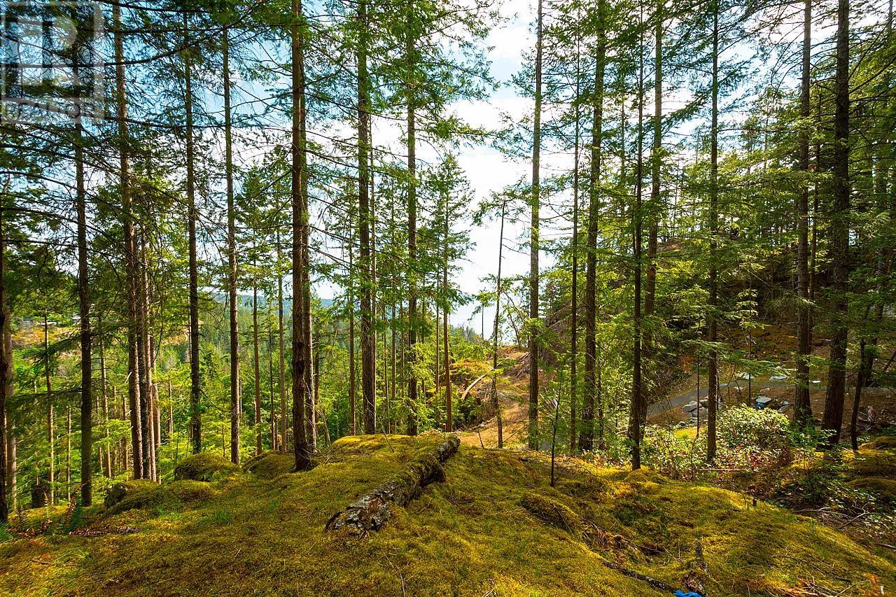 Lot 6 Hayes Road, Bowen Island, British Columbia  V0N 1G2 - Photo 4 - R2864146
