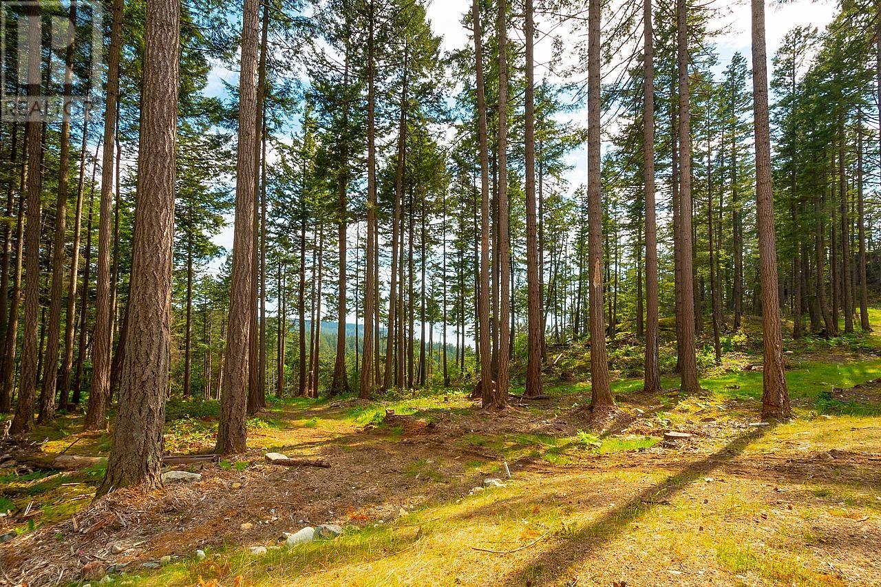 Lot 6 Hayes Road, Bowen Island, British Columbia  V0N 1G2 - Photo 6 - R2864146