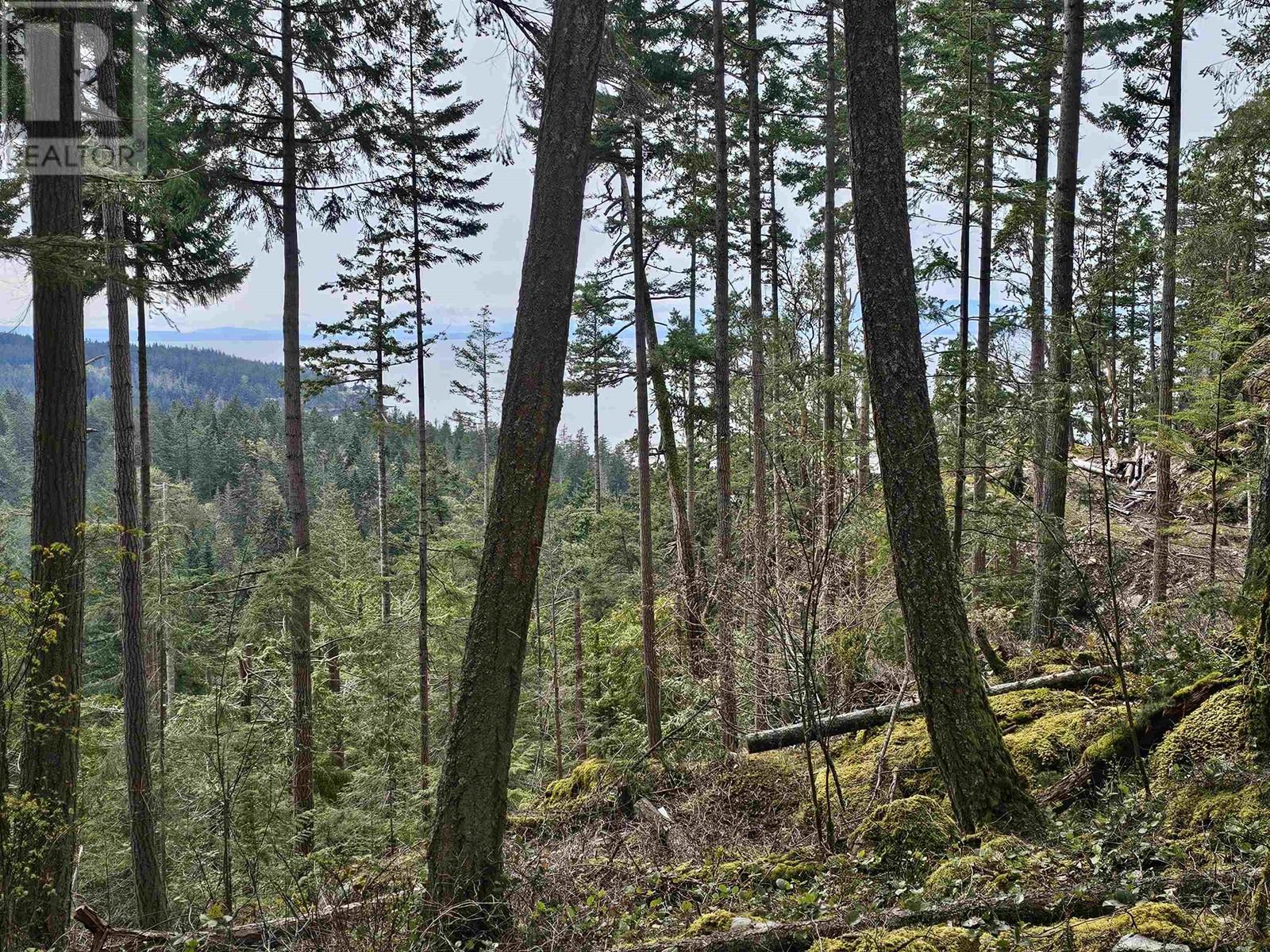 Lot 6 Hayes Road, Bowen Island, British Columbia  V0N 1G2 - Photo 7 - R2864146