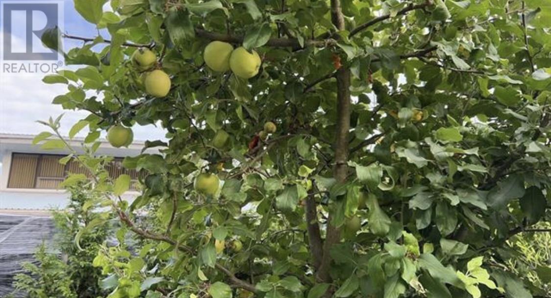 6060 Marine Drive, Burnaby, British Columbia  V3N 2X9 - Photo 19 - R2864000