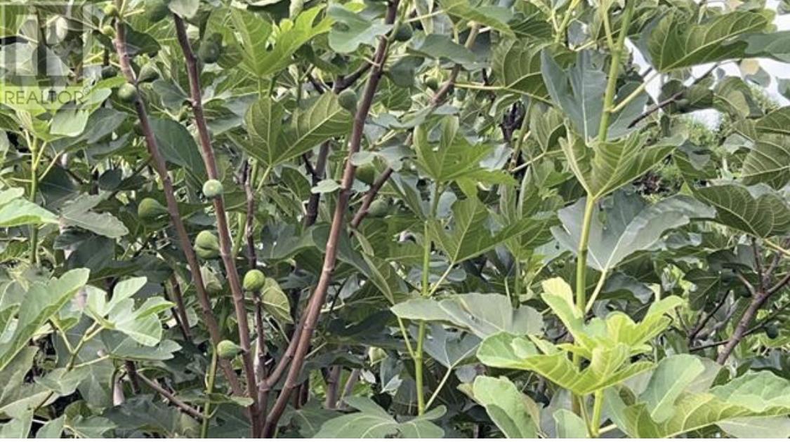 6060 Marine Drive, Burnaby, British Columbia  V3N 2X9 - Photo 20 - R2864000