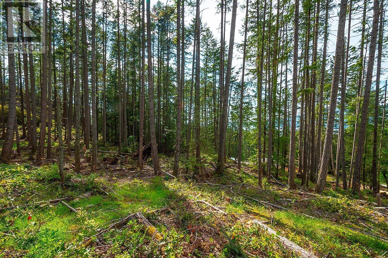 Lot 3 Hayes Road, Bowen Island, British Columbia  V0N 1G2 - Photo 3 - R2864206