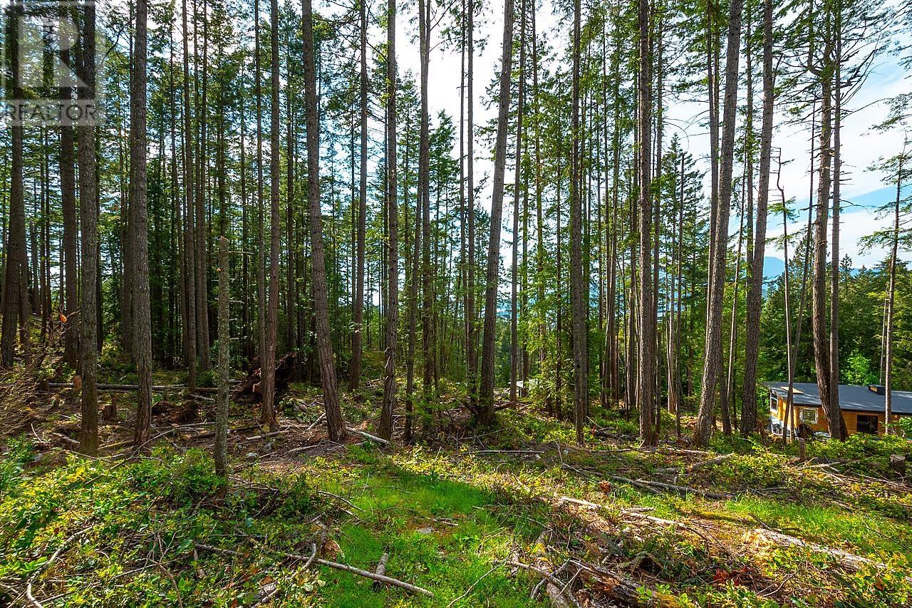 Lot 3 Hayes Road, Bowen Island, British Columbia  V0N 1G2 - Photo 4 - R2864206