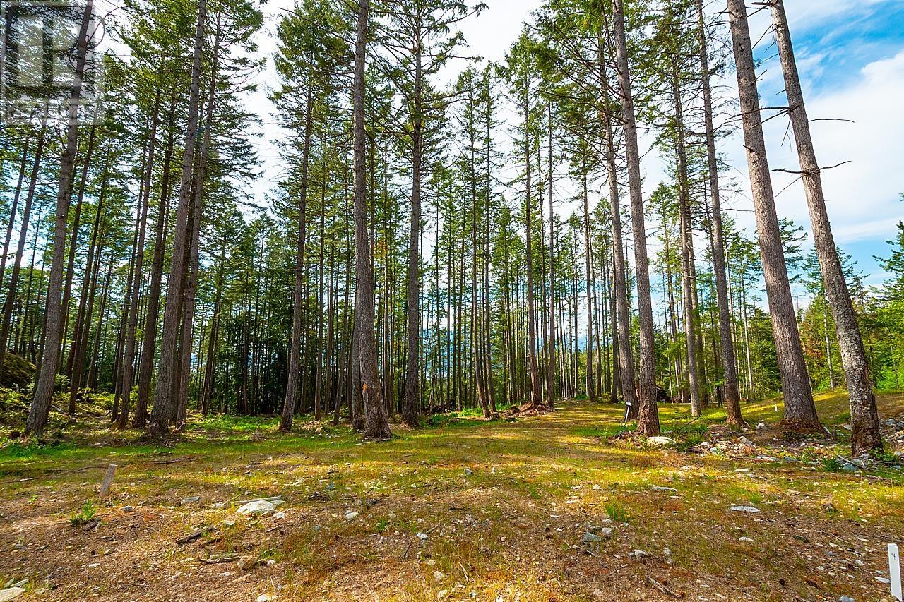 Lot 4 Hayes Road, Bowen Island, British Columbia  V0N 1G2 - Photo 2 - R2864207