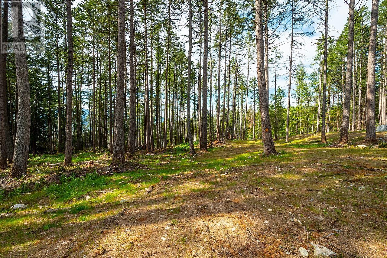 Lot 4 Hayes Road, Bowen Island, British Columbia  V0N 1G2 - Photo 3 - R2864207