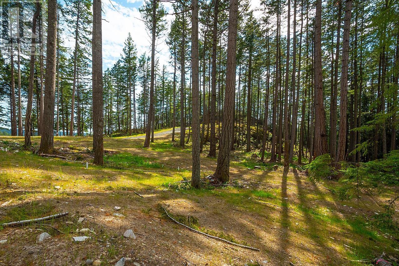 Lot 4 Hayes Road, Bowen Island, British Columbia  V0N 1G2 - Photo 5 - R2864207