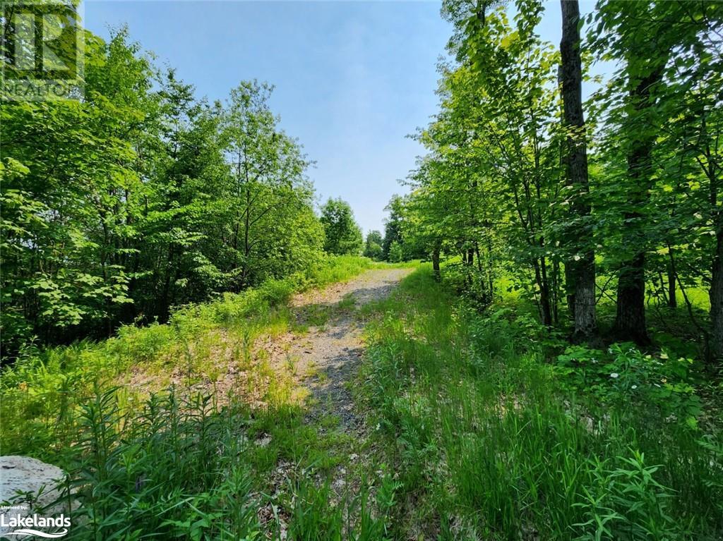19 Old Hemlock Trail, Huntsville, Ontario  P1H 0A7 - Photo 8 - 40562275