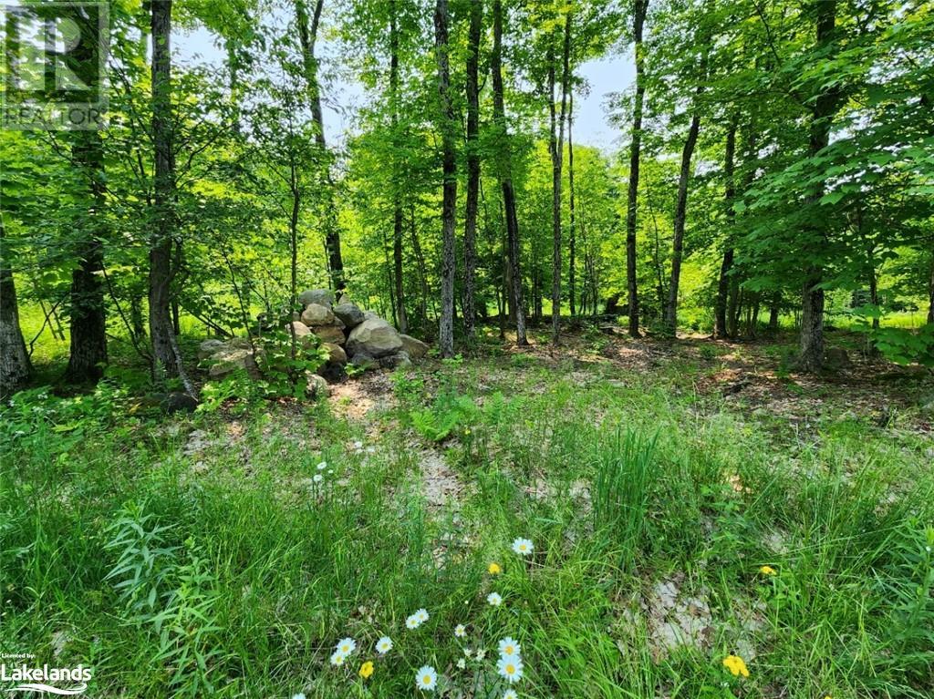 19 Old Hemlock Trail, Huntsville, Ontario  P1H 0A7 - Photo 13 - 40562275
