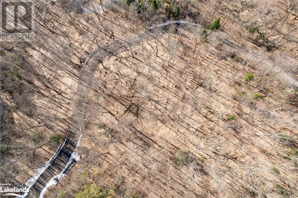 234 Longs Lake Road, Huntsville, Ontario  P0B 1M0 - Photo 10 - 40561769