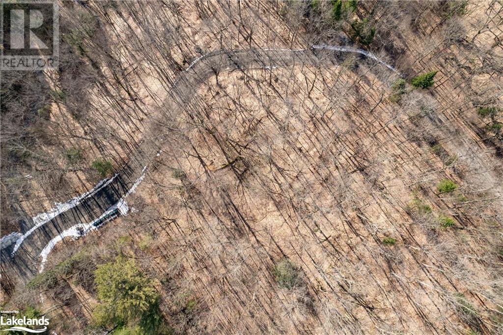 234 Longs Lake Road, Huntsville, Ontario  P0B 1M0 - Photo 11 - 40561769