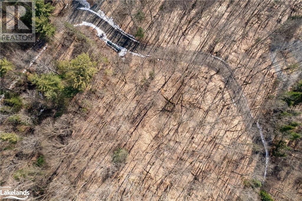 234 Longs Lake Road, Huntsville, Ontario  P0B 1M0 - Photo 13 - 40561769