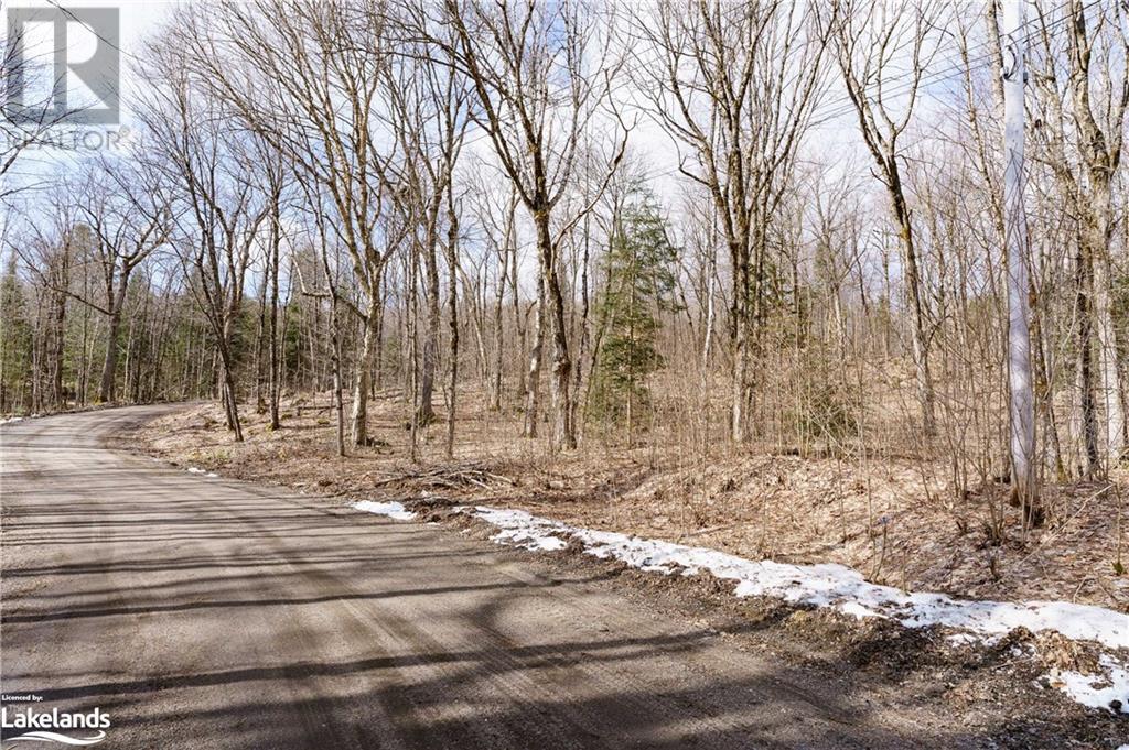 234 Longs Lake Road, Huntsville, Ontario  P0B 1M0 - Photo 15 - 40561769