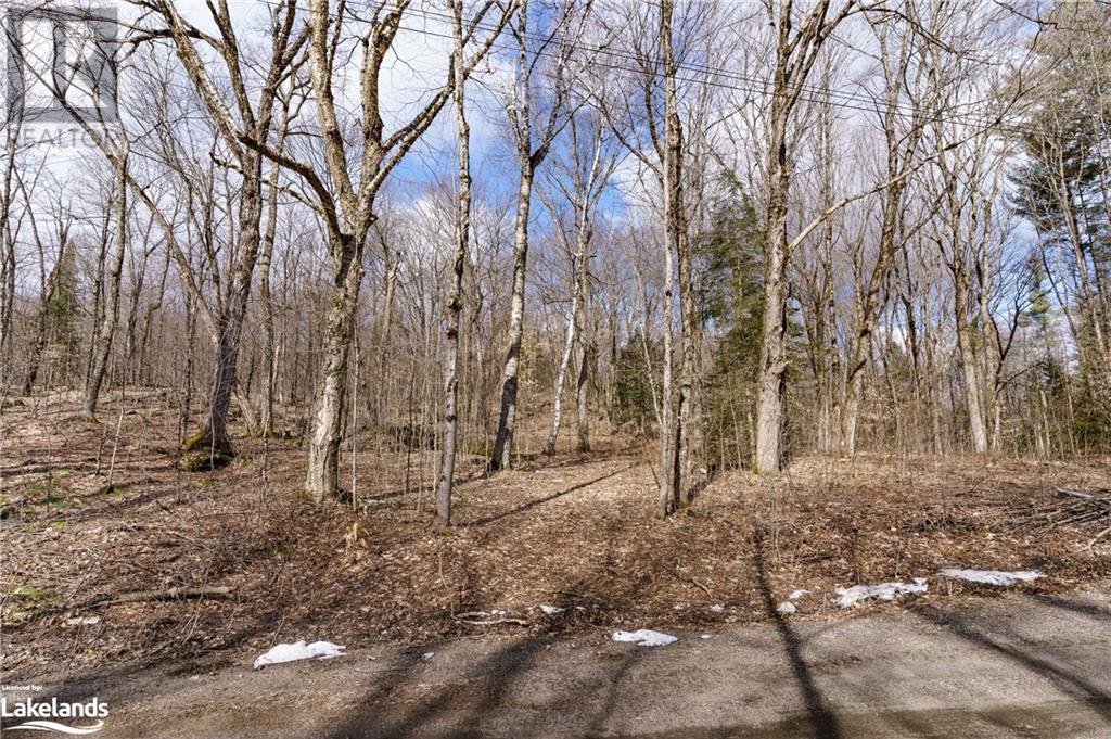 234 Longs Lake Road, Huntsville, Ontario  P0B 1M0 - Photo 16 - 40561769