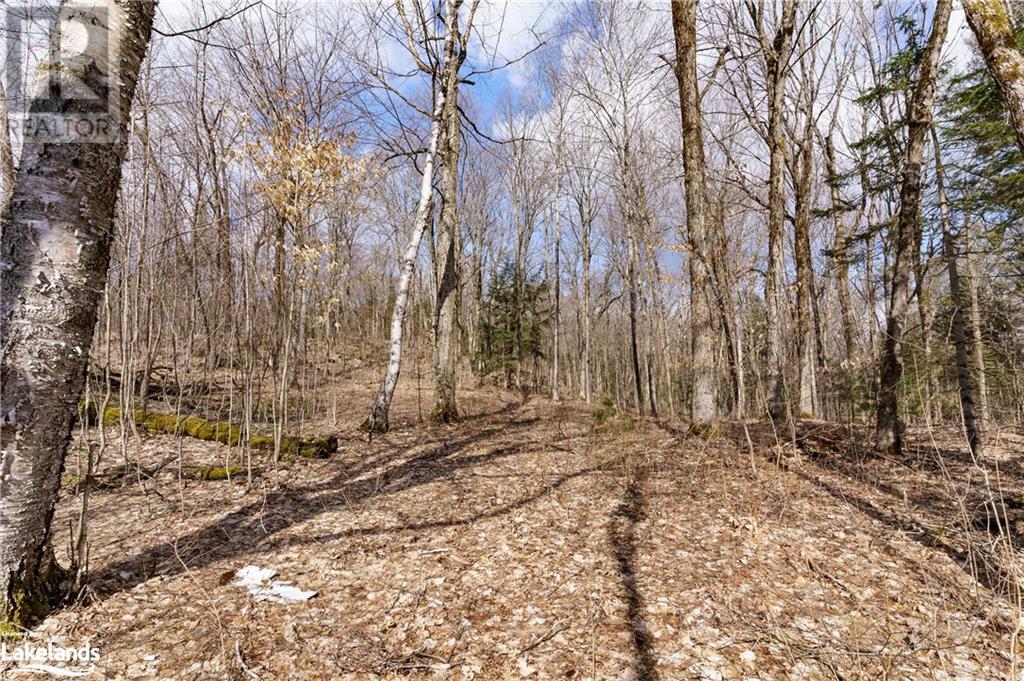 234 Longs Lake Road, Huntsville, Ontario  P0B 1M0 - Photo 17 - 40561769