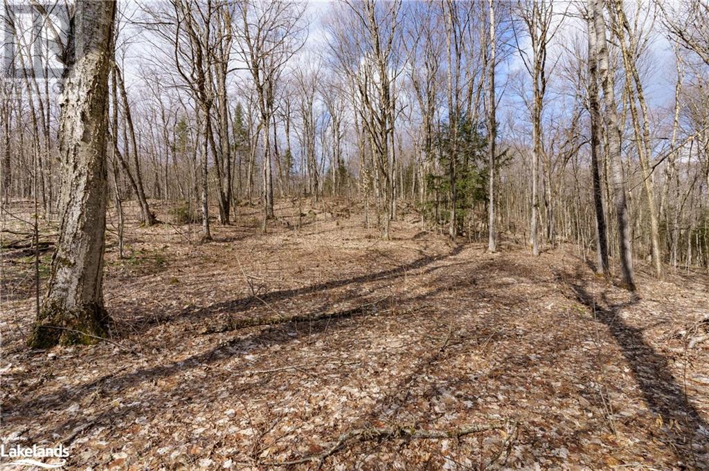 234 Longs Lake Road, Huntsville, Ontario  P0B 1M0 - Photo 18 - 40561769