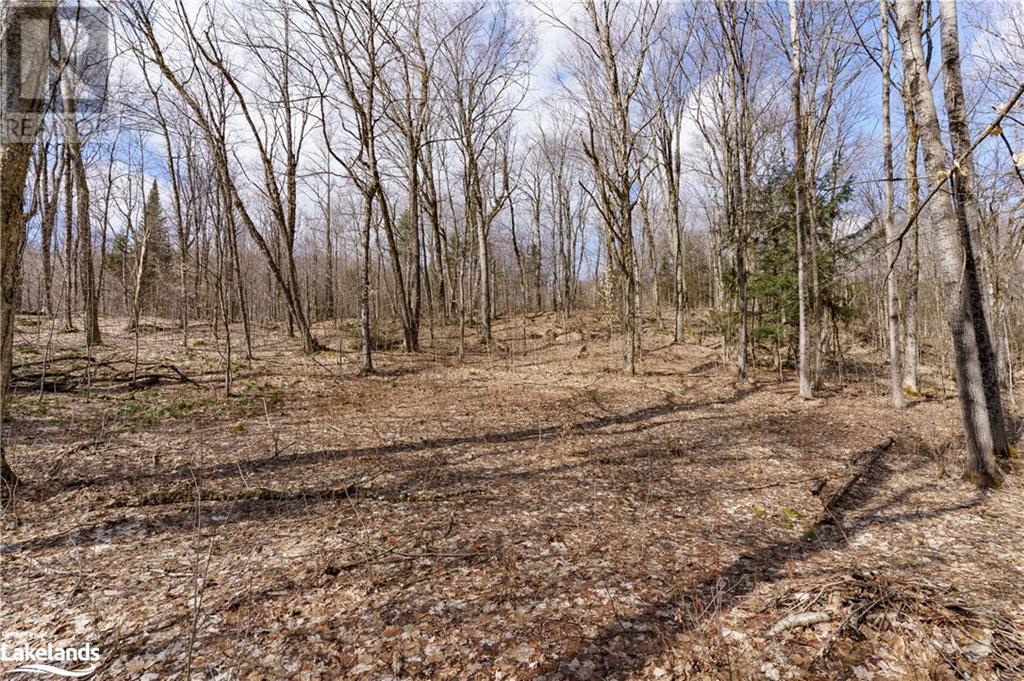 234 Longs Lake Road, Huntsville, Ontario  P0B 1M0 - Photo 19 - 40561769