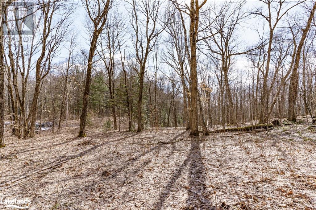 234 Longs Lake Road, Huntsville, Ontario  P0B 1M0 - Photo 20 - 40561769