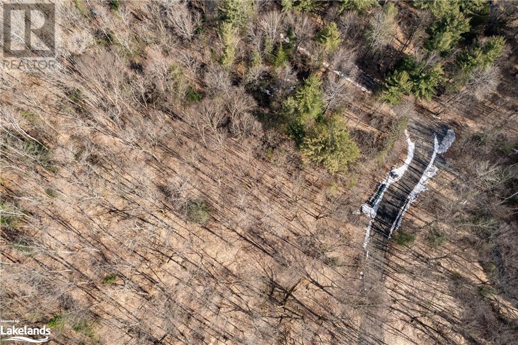 234 Longs Lake Road, Huntsville, Ontario  P0B 1M0 - Photo 5 - 40561769