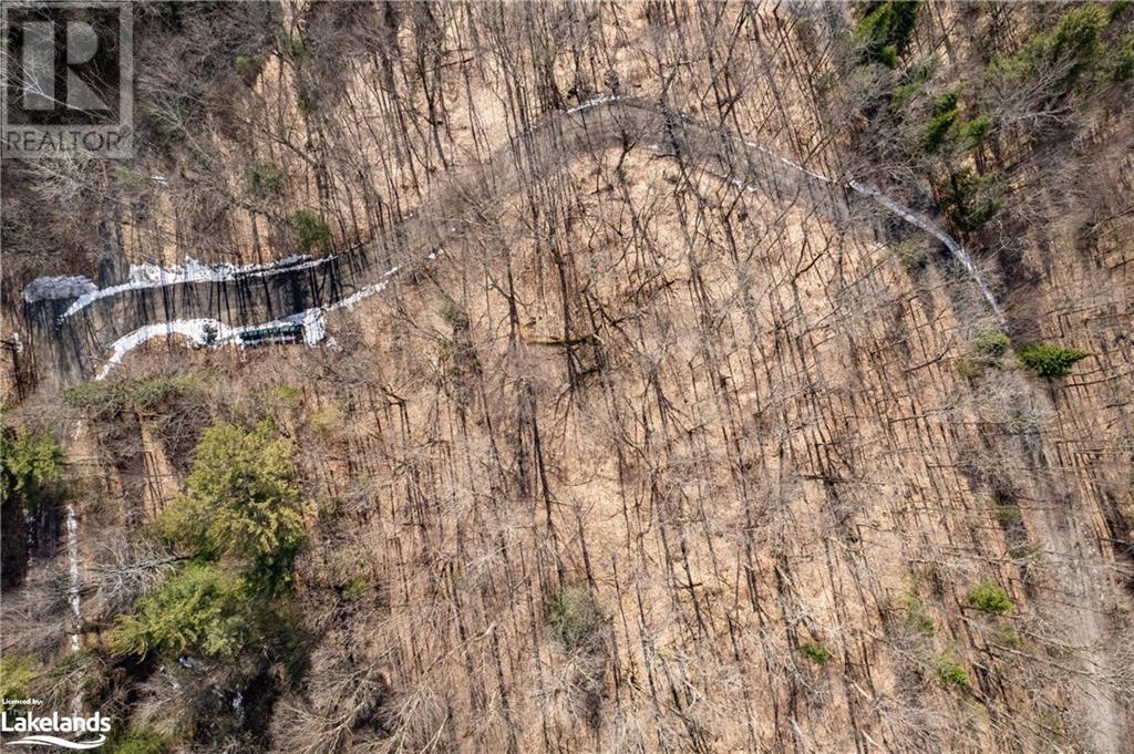 234 Longs Lake Road, Huntsville, Ontario  P0B 1M0 - Photo 7 - 40561769