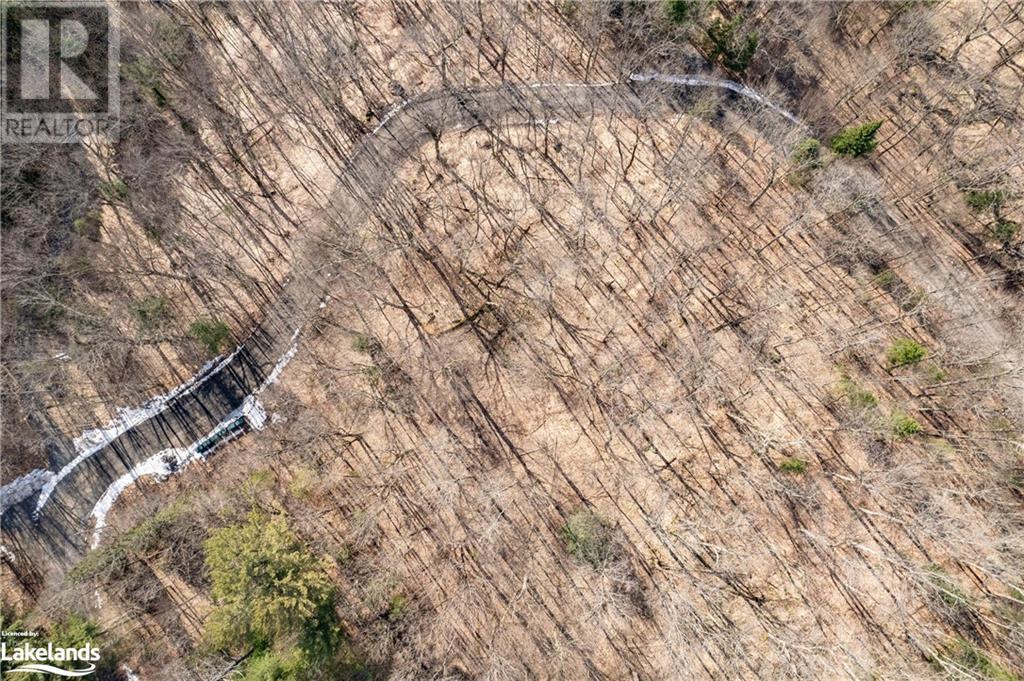 234 Longs Lake Road, Huntsville, Ontario  P0B 1M0 - Photo 8 - 40561769