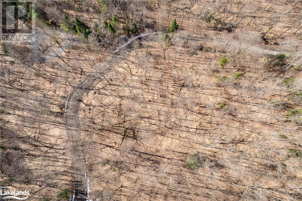 234 Longs Lake Road, Huntsville, Ontario  P0B 1M0 - Photo 9 - 40561769