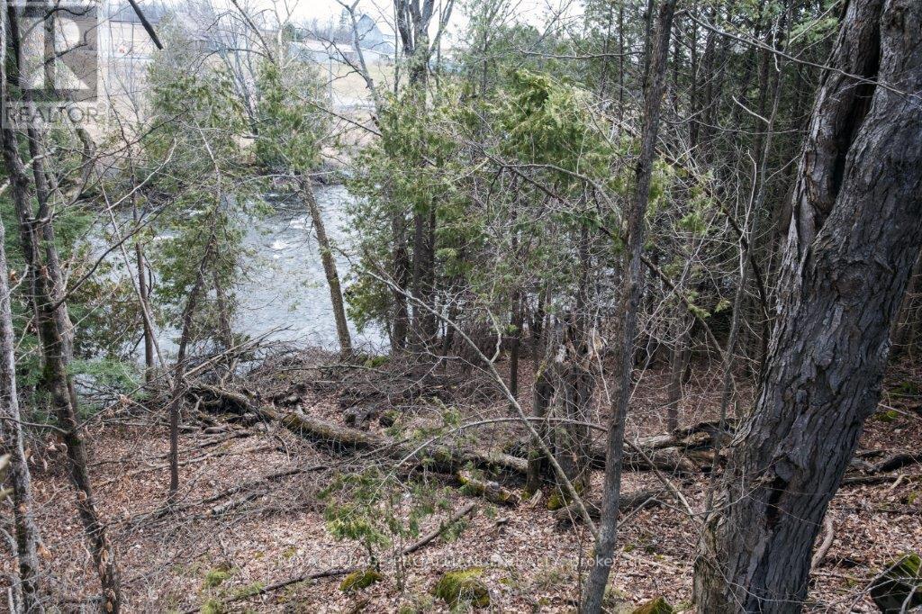 349 Beaver Creek Rd, Marmora And Lake, Ontario  K0K 2M0 - Photo 12 - X8180894