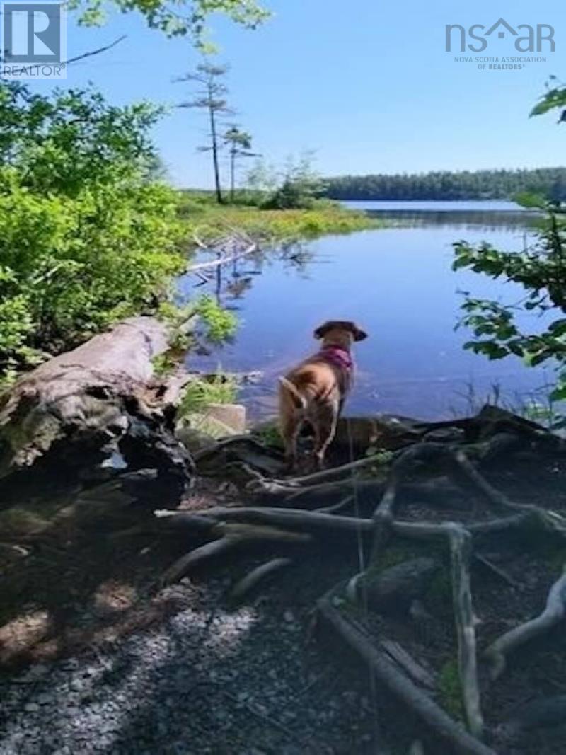 283 First Lake Drive, Sackville, Nova Scotia  B4C 3J9 - Photo 37 - 202405759