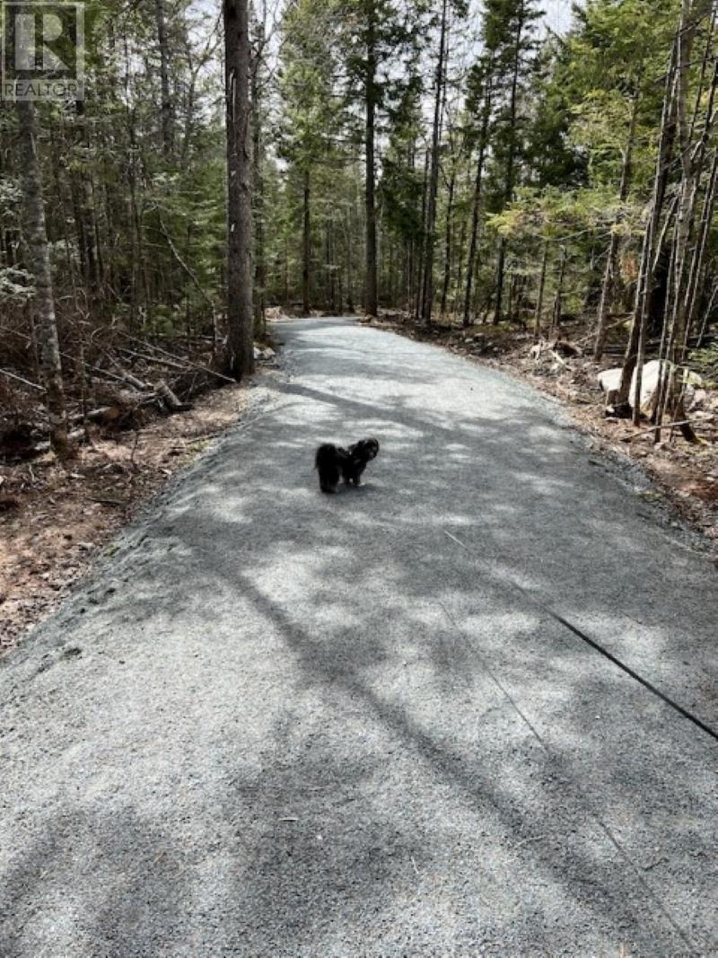 283 First Lake Drive, Sackville, Nova Scotia  B4C 3J9 - Photo 38 - 202405759