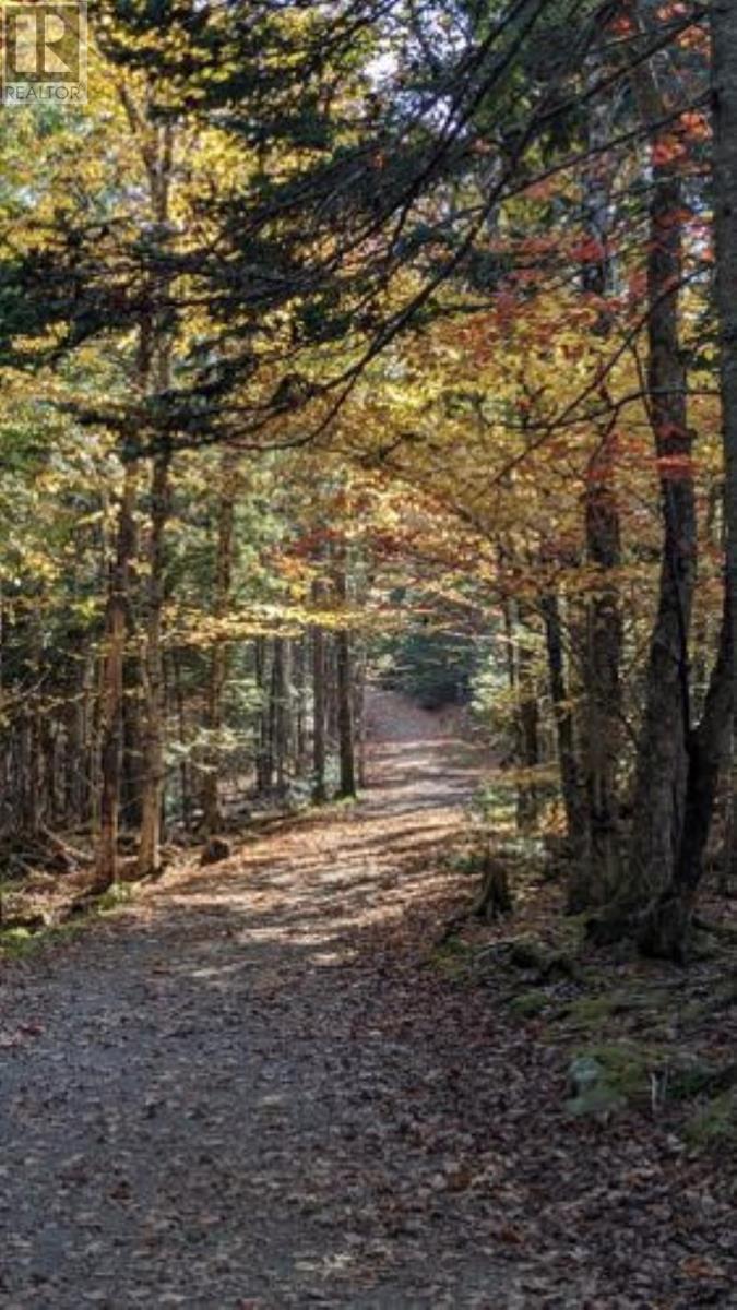 283 First Lake Drive, Sackville, Nova Scotia  B4C 3J9 - Photo 41 - 202405759